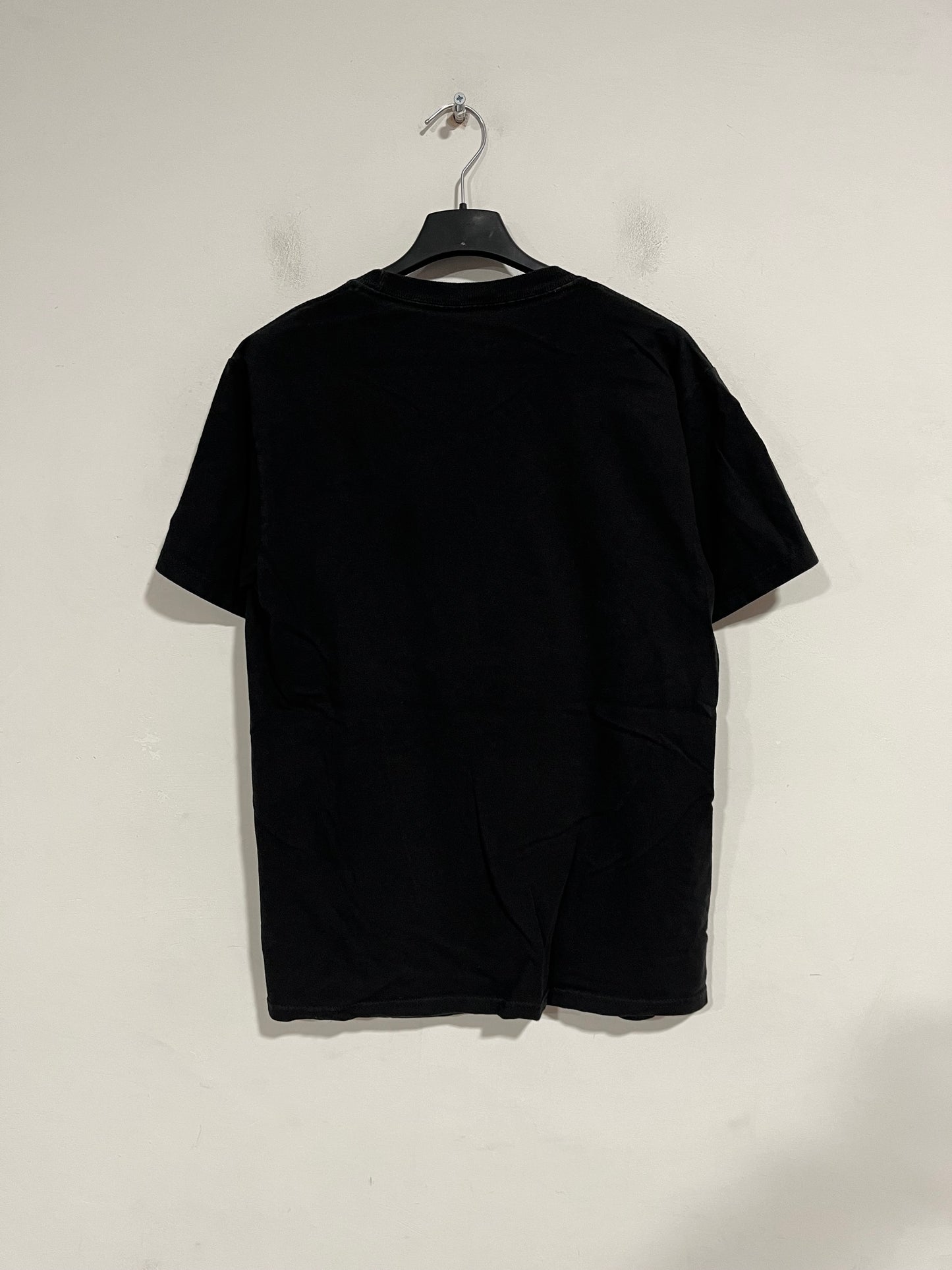 T shirt Champion usa NCAA Huskies (G163)