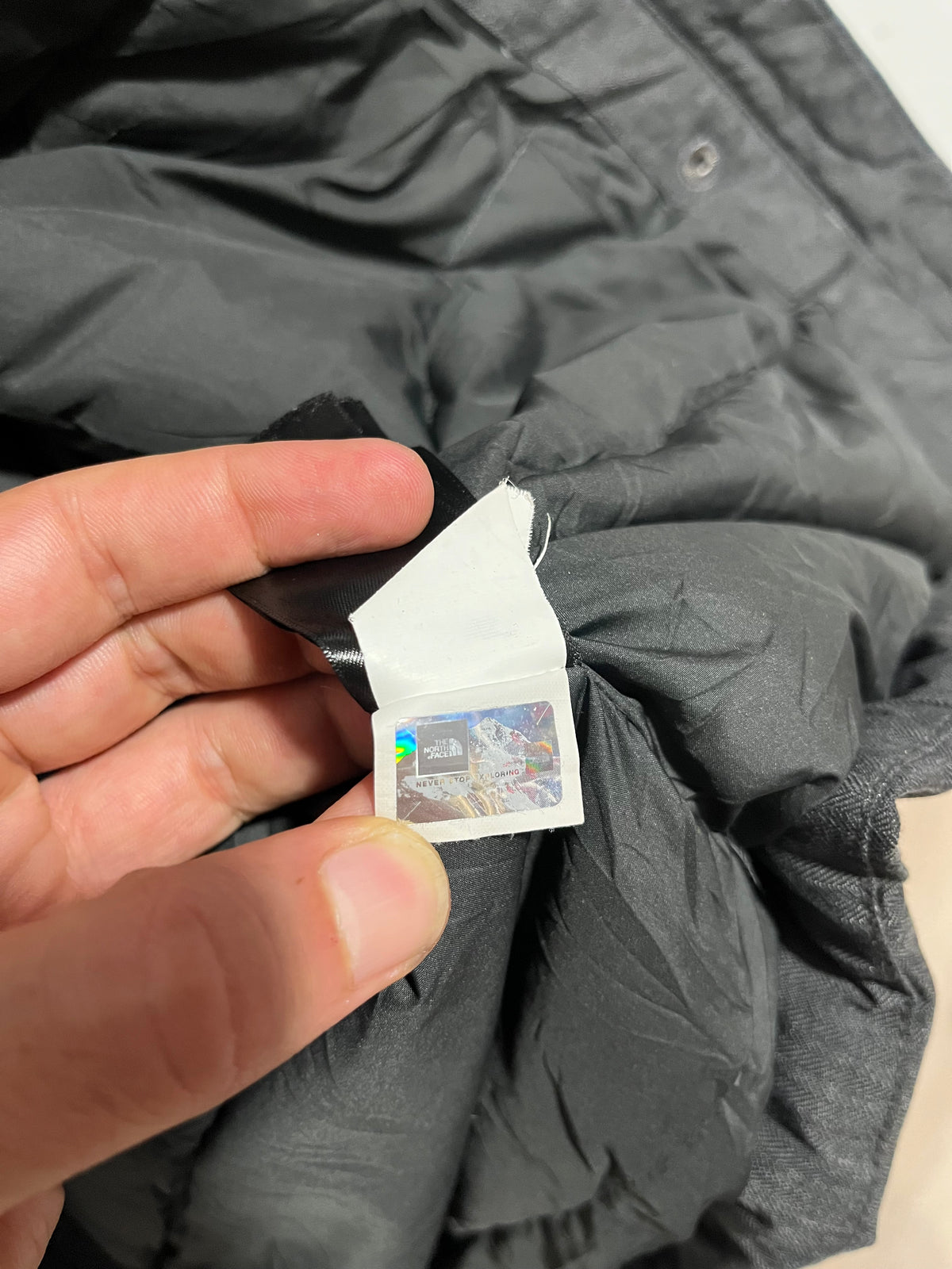Giubbotto piumino parka The North face donna (H320)