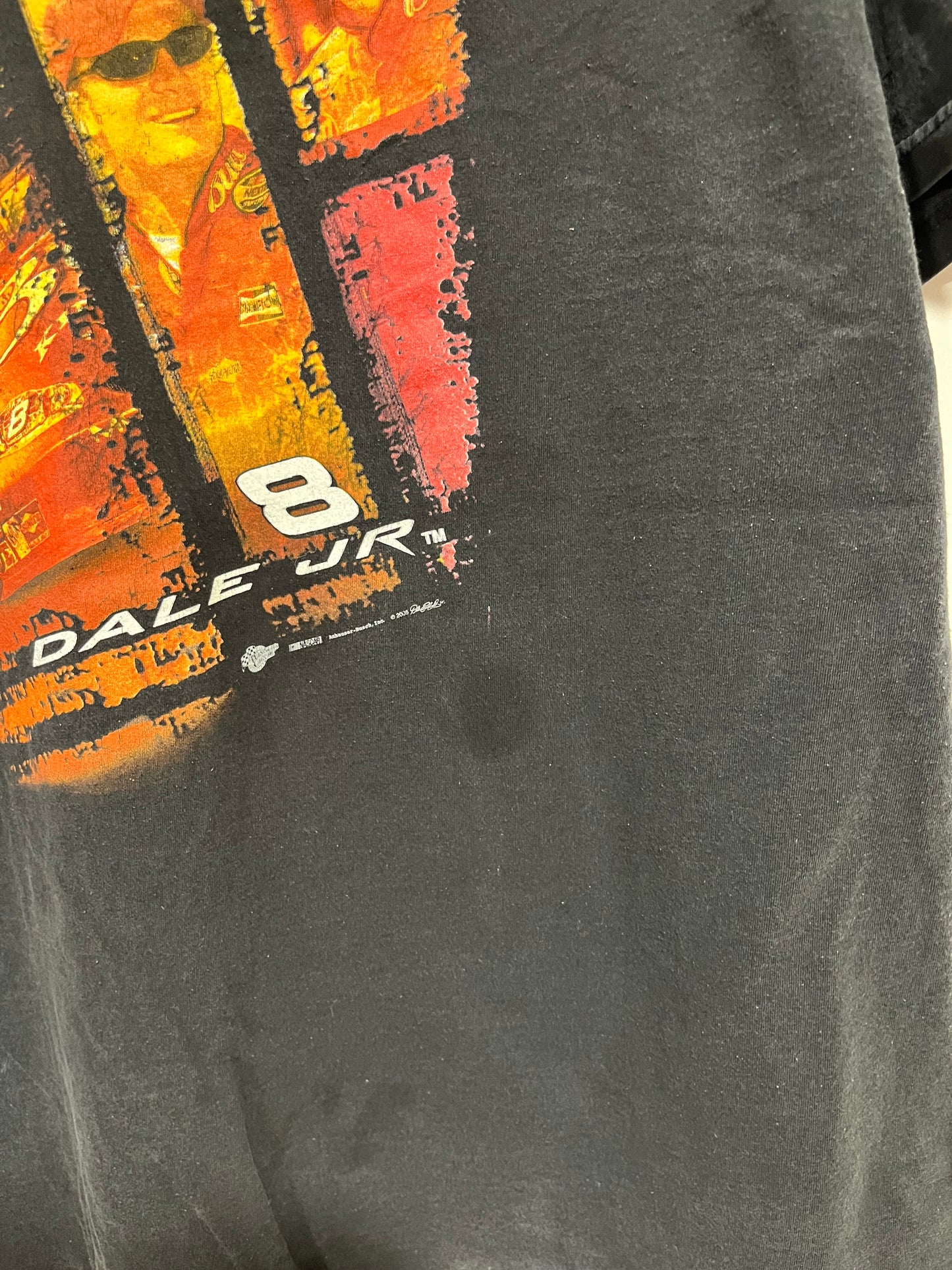 T shirt NASCAR Winner’s circle di Dale Jr. (G213)