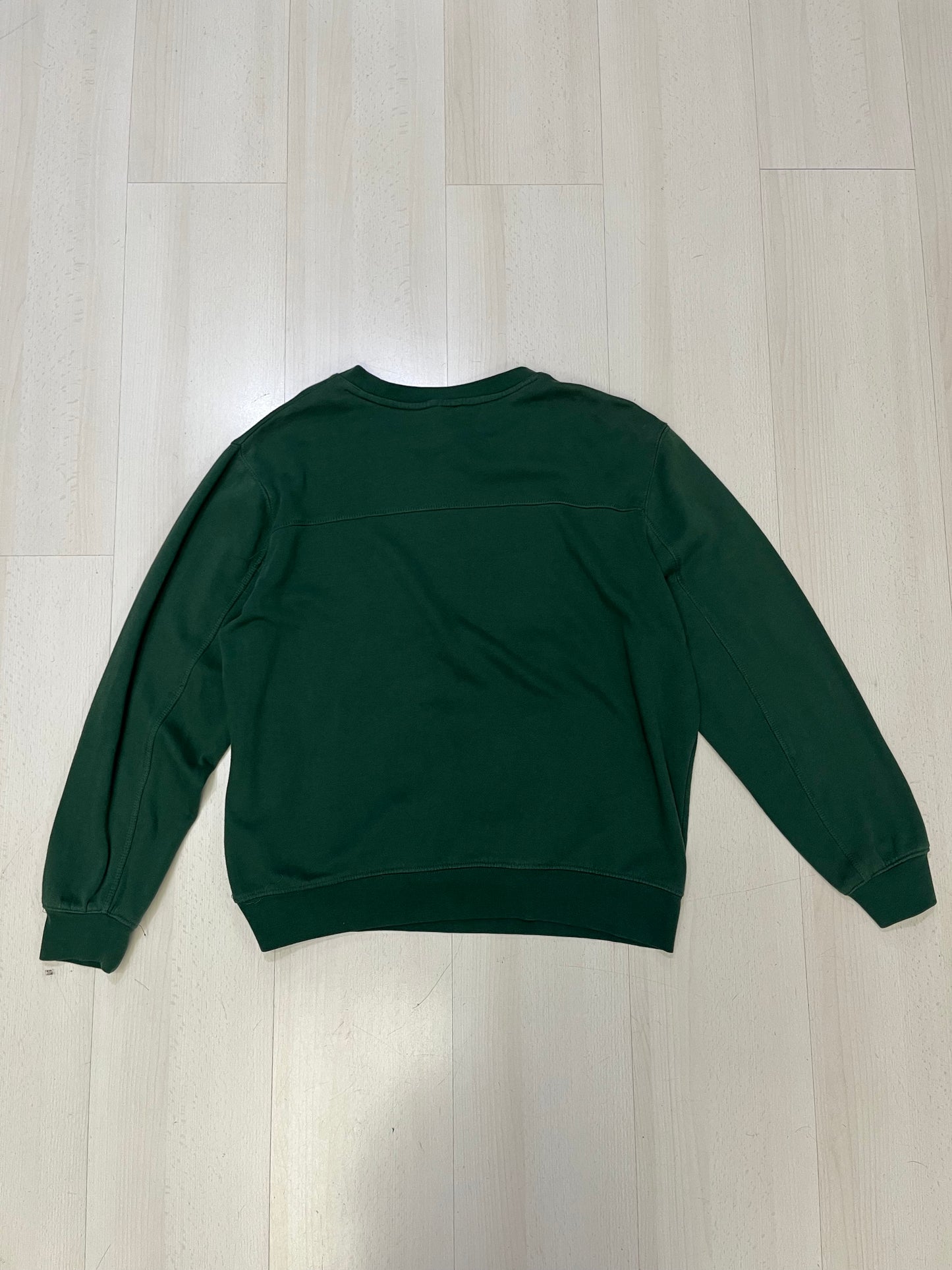 Felpa girocollo Team apparel NFL Green Bay Packers (H050)