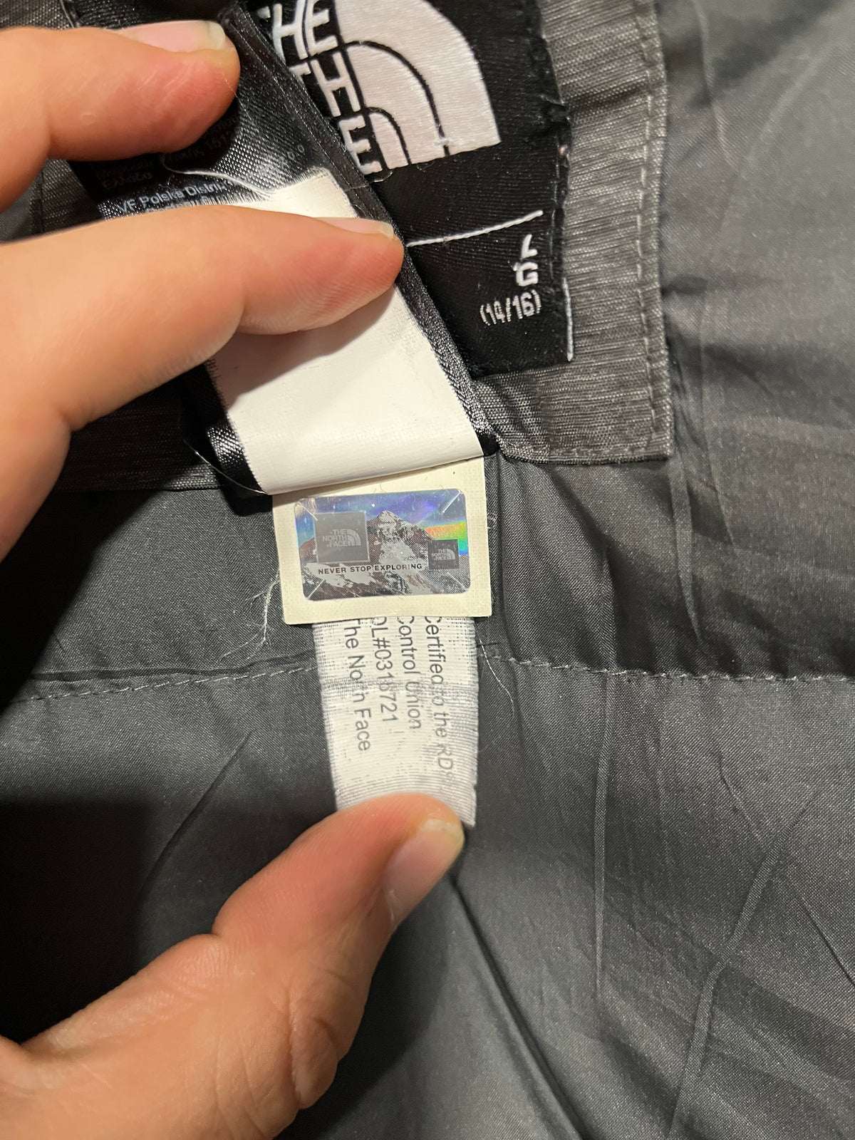 Giubbotto The North Face 550 (H317)