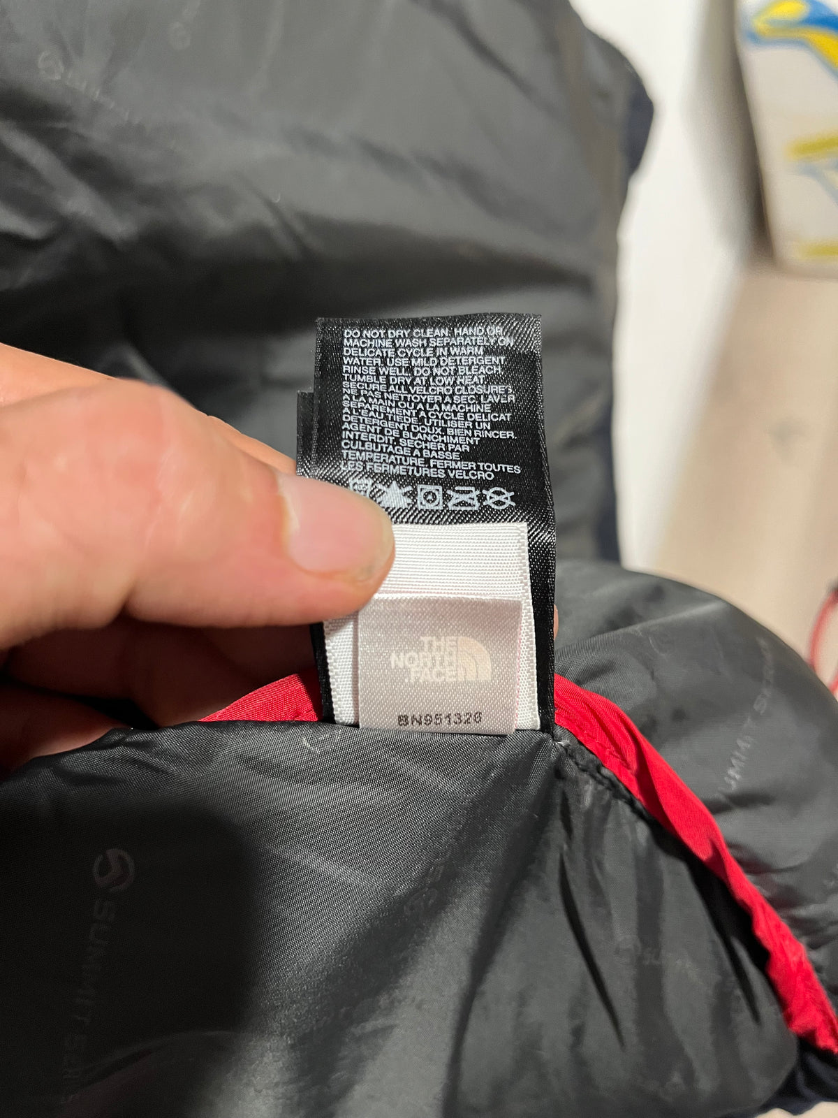 Giubbotto piumino The North Face Puffer jacket 700 (H323)