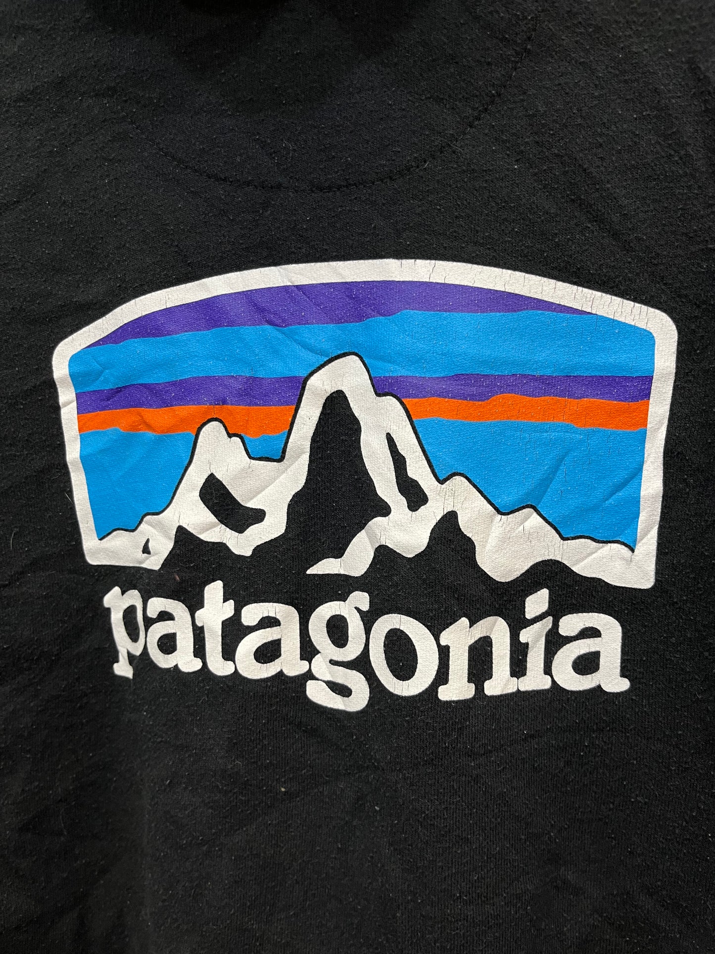 Felpa con cappuccio Patagonia nera (F324)