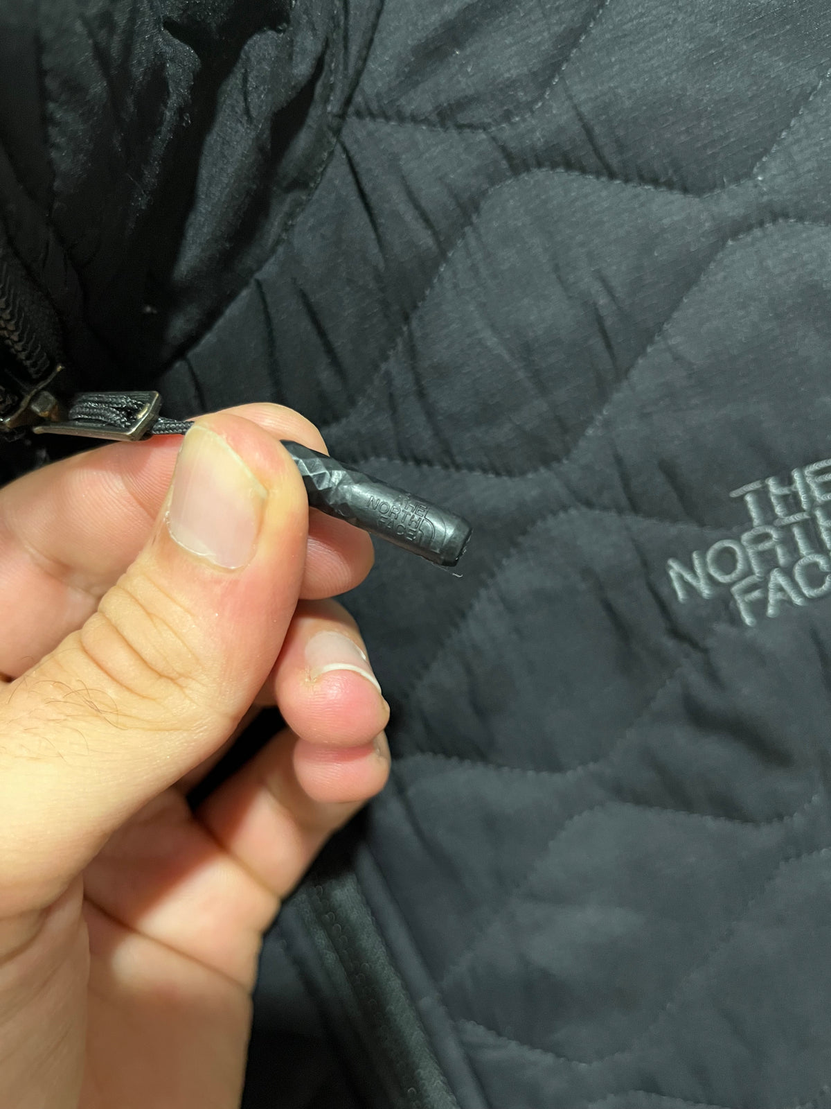 Giubbotto The North face donna nero (H299)