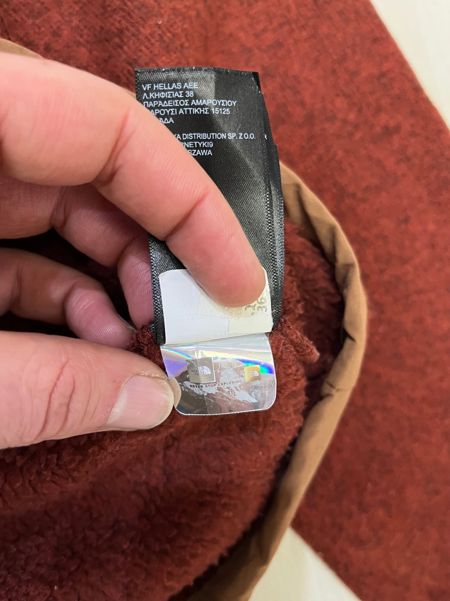 Pile The North face uomo (G886)