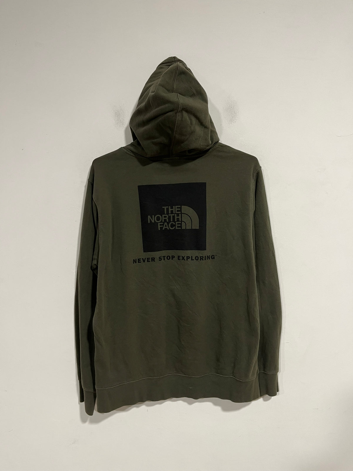 Felpa con cappuccio The North Face (H257)