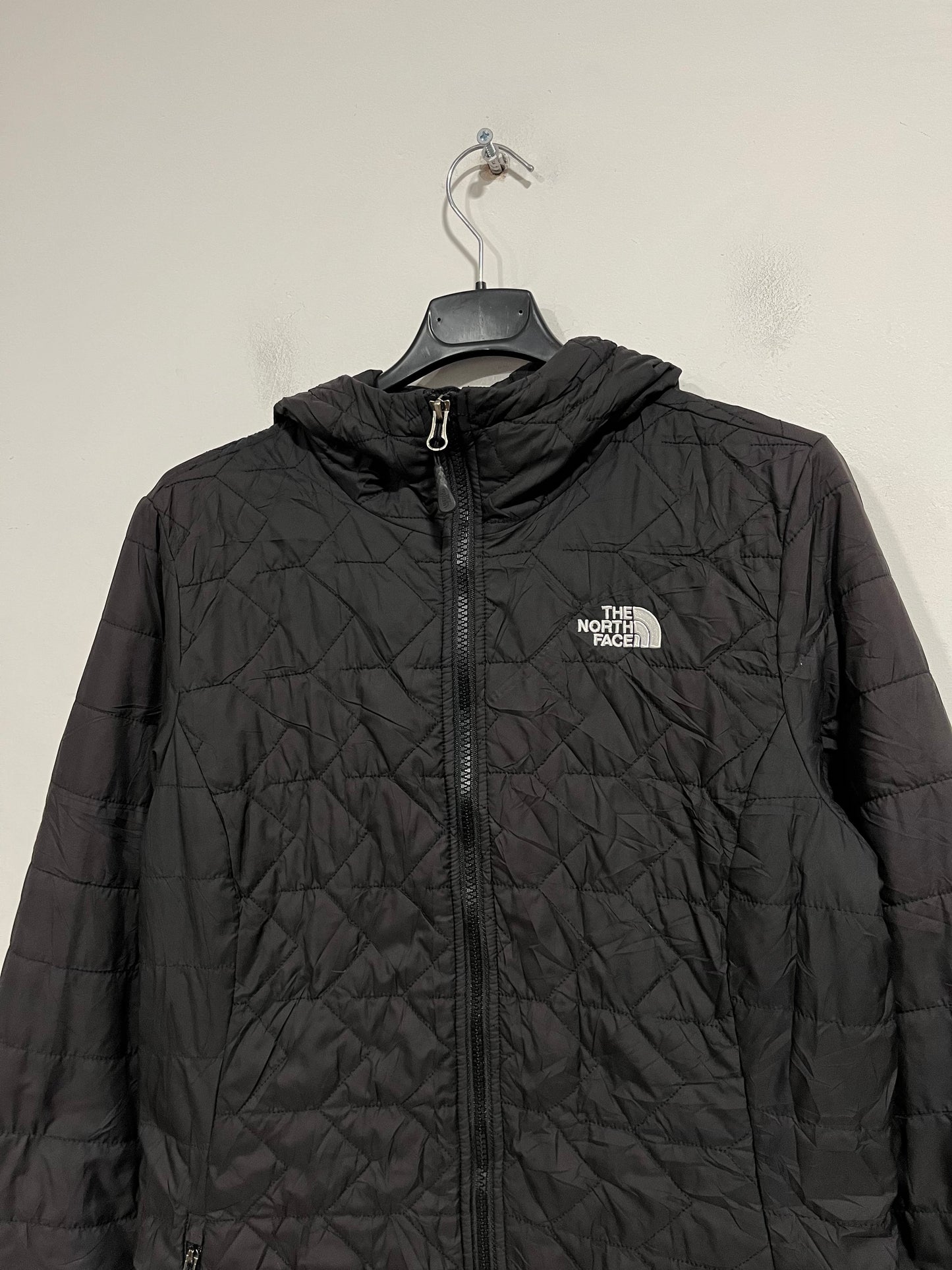 piumino parka the north face (F933)