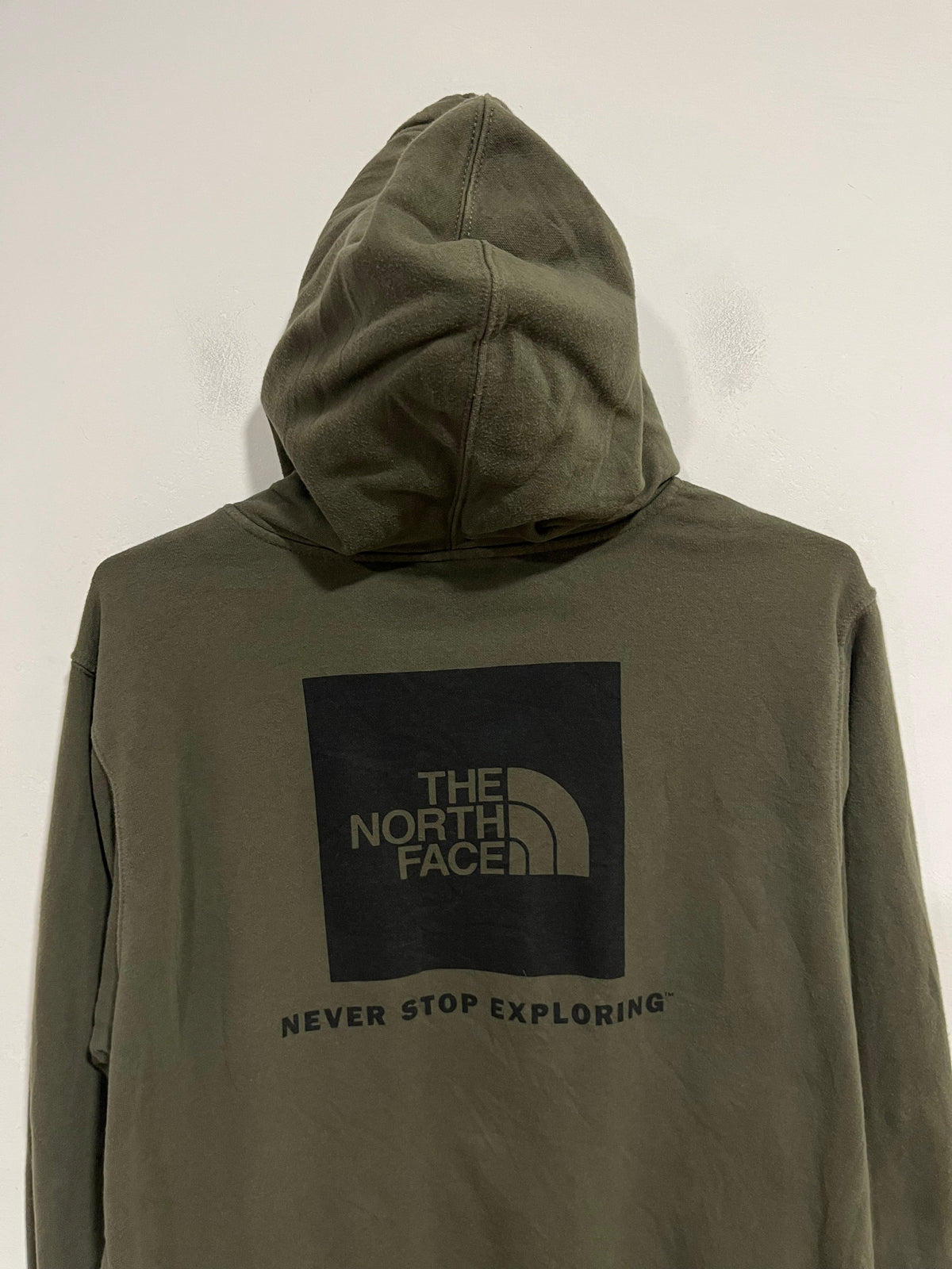 Felpa con cappuccio The North Face (H257)