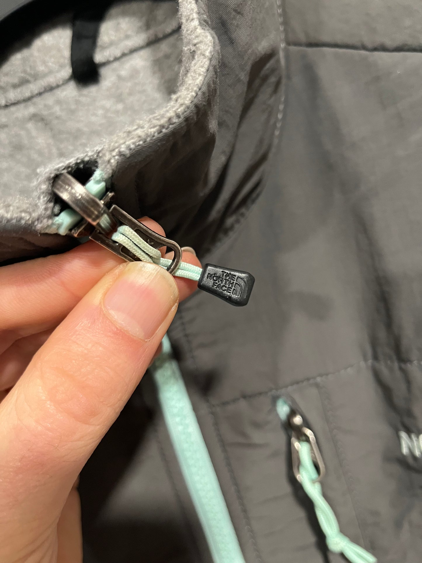 Pile The North face fleece denali Jacket (G975)